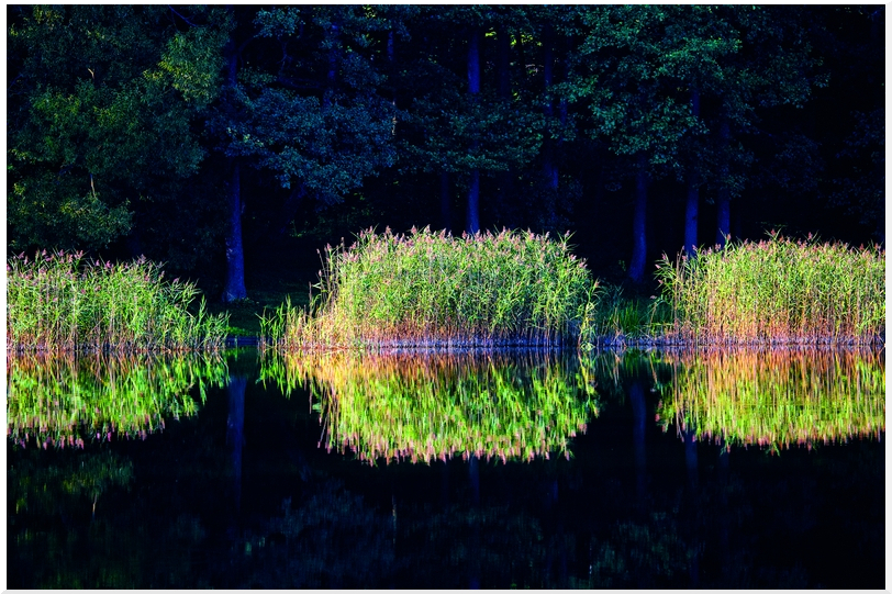 Photo by: Rafal Jablonski